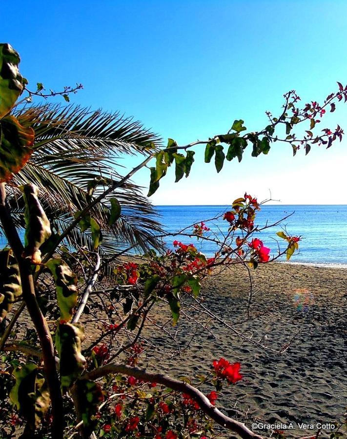 La Palmera. El Amanecer En El Parque Natural Agua Amarga  Εξωτερικό φωτογραφία